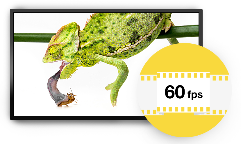 AVerVision F50-8M Flexible Arm Visualizer Document Camera | AVer
