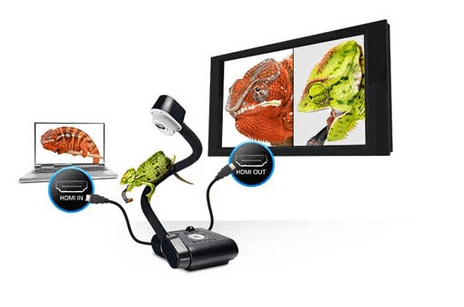 AVerVision F50HD グースネックタイプ書画カメラ(実物投影機) | アバー
