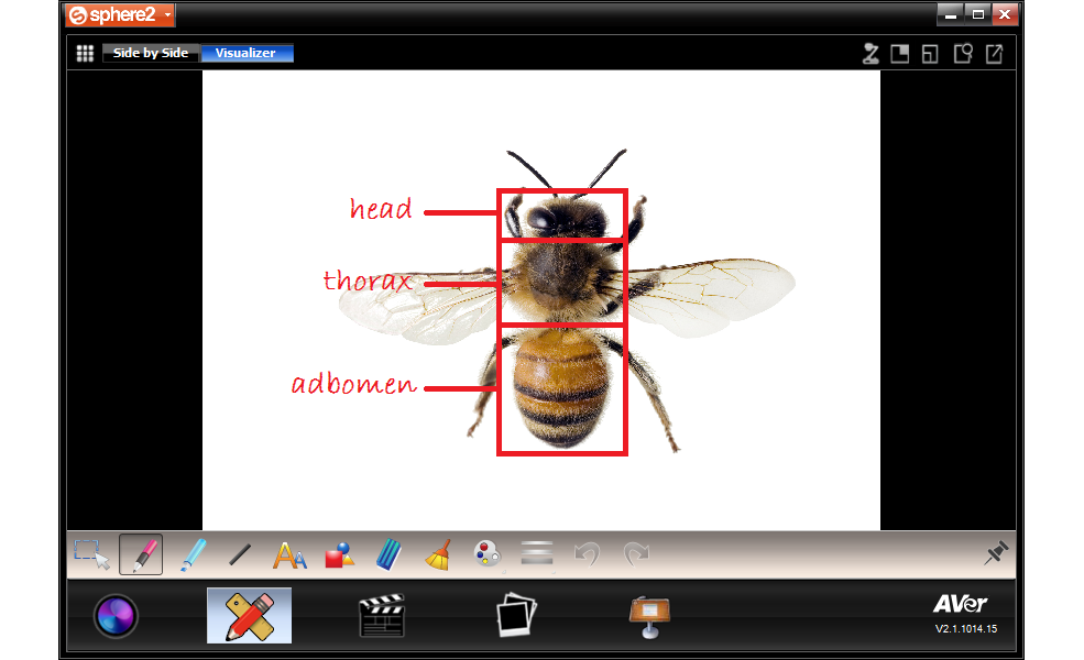 A+ Suite / Sphere2 | Visualizer Document Camera Software | AVer Global